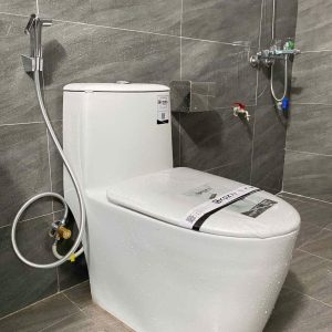 Bồn cầu liền khối EKOZXI – E828
