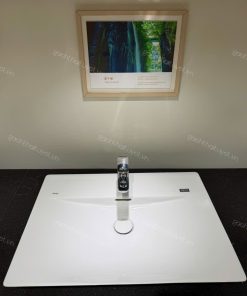 Chậu CERAFIRE đặt bàn INAX mã S630V