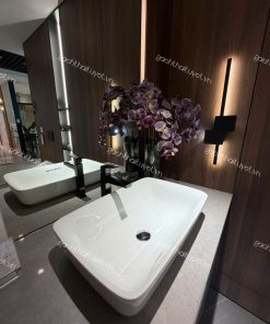 Chậu đặt trên bàn GALALATO ToTo mã PJS06WE (5)