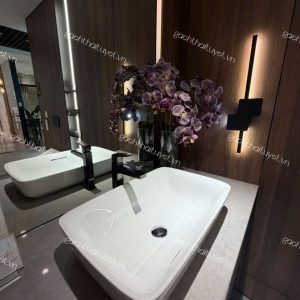 Chậu đặt trên bàn GALALATO ToTo mã PJS06WE (5)