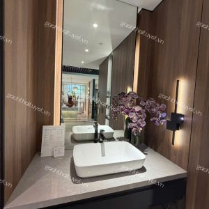 Chậu đặt trên bàn GALALATO ToTo mã PJS06WE (5)