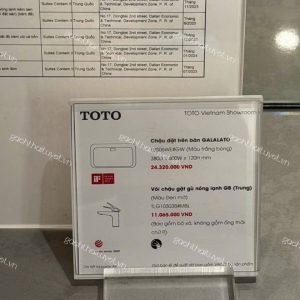 Chậu đặt trên bàn GALALATO ToTo mã PJS06WE (5)
