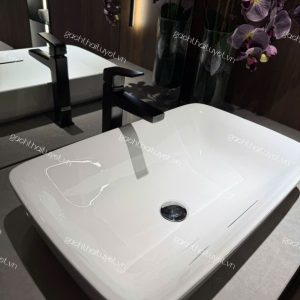 Chậu đặt trên bàn GALALATO ToTo mã PJS06WE (5)