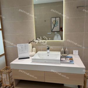 Chậu đặt trên bàn ToTo mã LT710CSR
