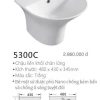 Chậu liền khối chân lửng Kolni 5300C