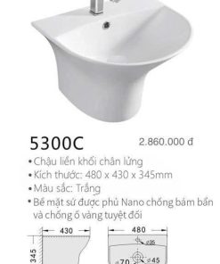 Chậu liền khối chân lửng Kolni 5300C