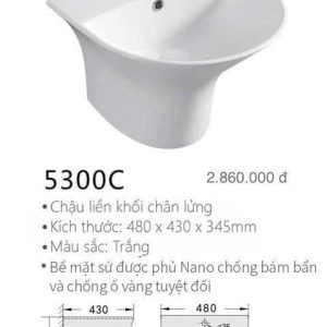 Chậu liền khối chân lửng Kolni 5300C