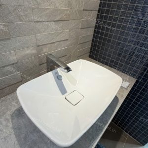 Chậu rửa đặt bàn LAMODA INAX mã WP-F602