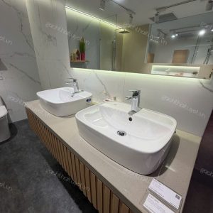 Chậu rửa đặt trên bàn SIGNUTURE mã WP-0618