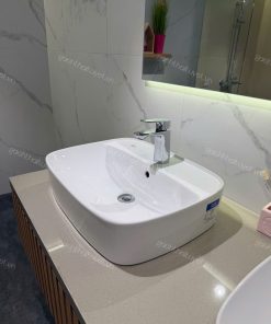 Chậu rửa đặt trên bàn SIGNUTURE mã WP-0618