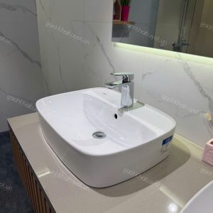Chậu rửa đặt trên bàn SIGNUTURE mã WP-0618