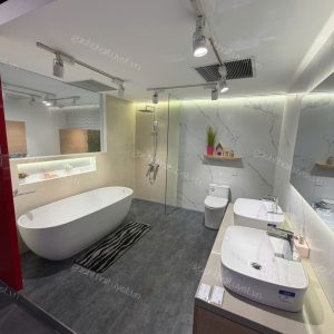 Chậu rửa đặt trên bàn SIGNUTURE mã WP-0618