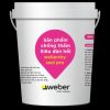Chống Thấm Siêu Đàn Hồi WEBERDRY SEAL PRO
