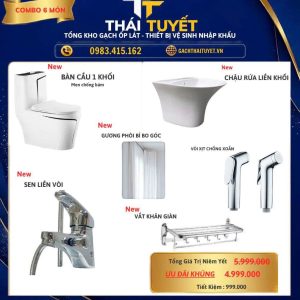 Combo Thiết bị vệ sinh TT116