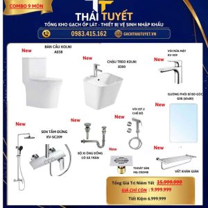Combo Thiết bị vệ sinh TT125