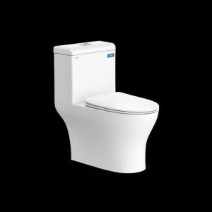 Combo thiết bị vệ sinh Viglacera số 15