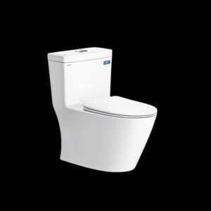 Combo thiết bị vệ sinh Viglacera số 20