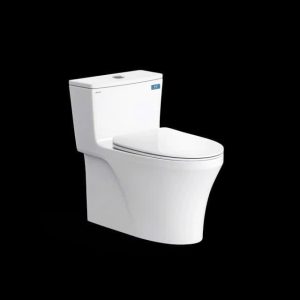 Combo thiết bị vệ sinh Viglacera số 22