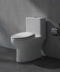 Combo thiết bị vệ sinh Viglacera số 6