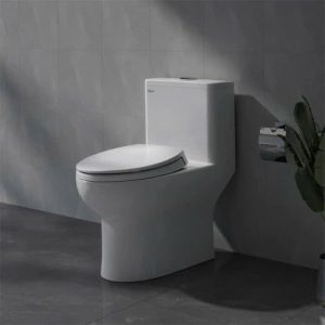 Combo thiết bị vệ sinh Viglacera số 6