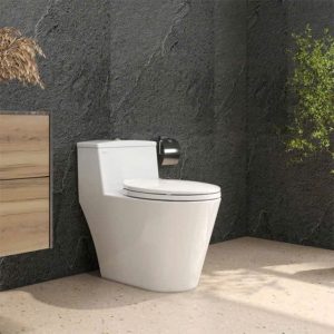 Combo thiết bị vệ sinh Viglacera số 7