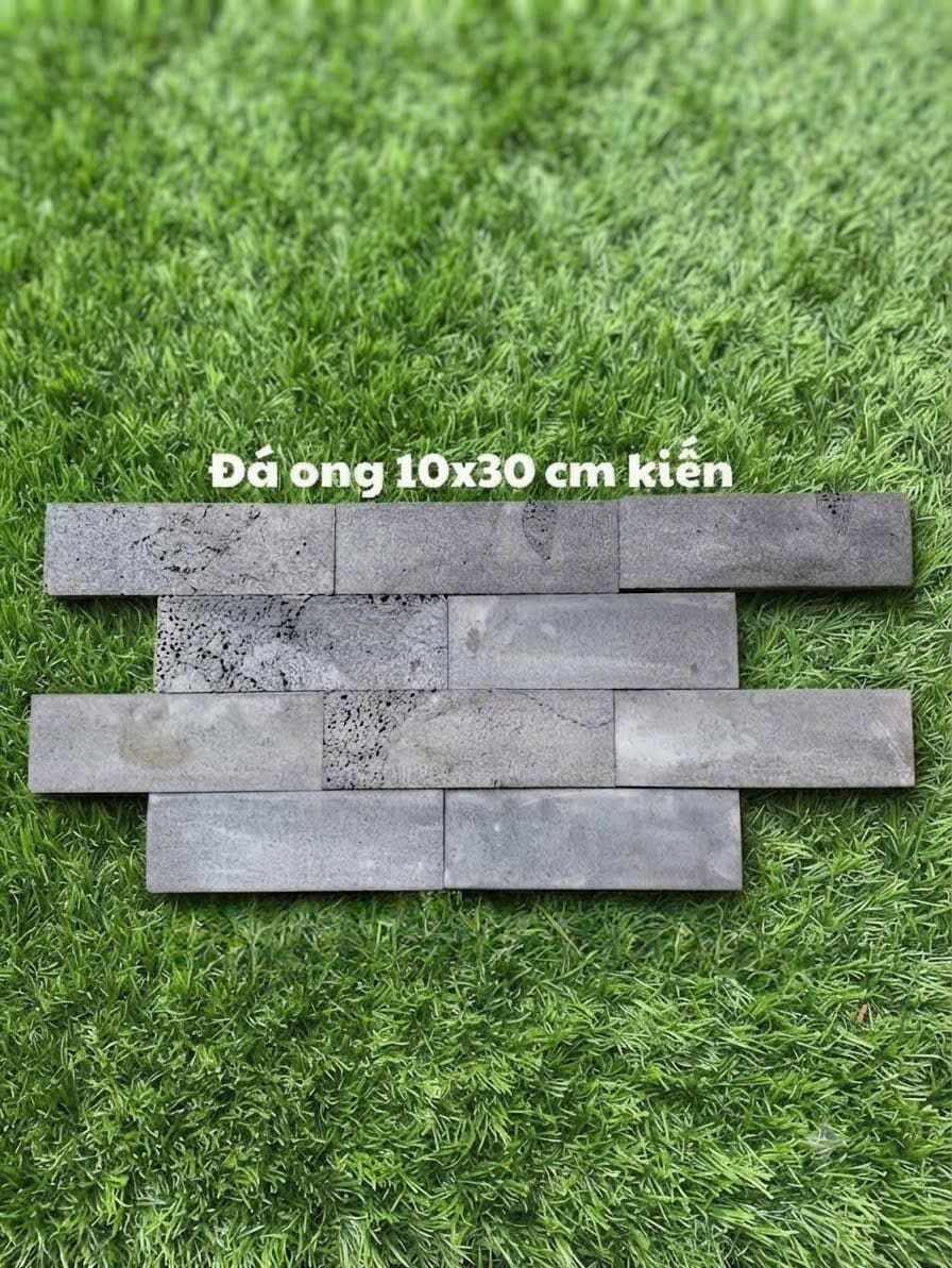 Đá ong 10x30 cm kiến