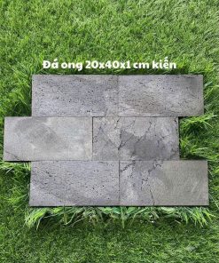 Đá ong 20x40x1 cm kiến