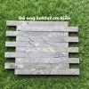 Đá ong 5x60x2 cm kiến
