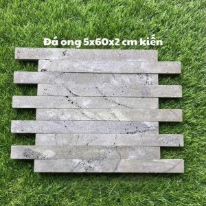 Đá ong 5x60x2 cm kiến