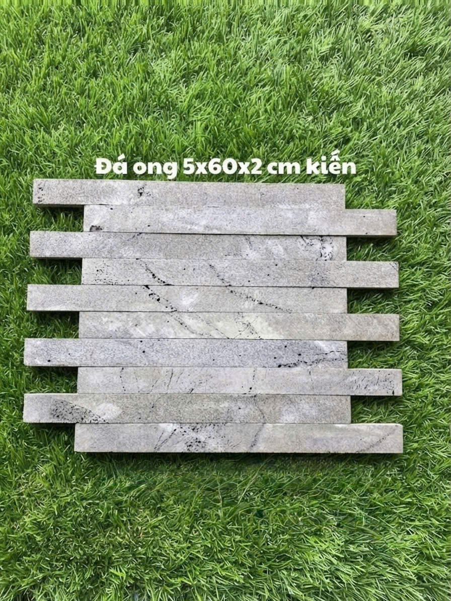 Đá ong 5x60x2 cm kiến