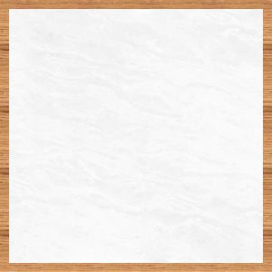 Gạch 100x100 ASI mã PETRECIA WHITE Men Bóng Hai Da