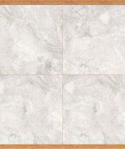 Gạch 100x100 ASI mã ROMAN SILVER Men Bóng