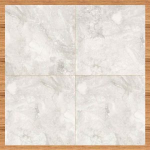 Gạch 100x100 ASI mã ROMAN SILVER Men Bóng