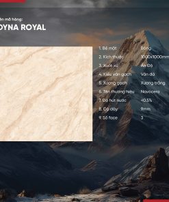 Gạch 100x100 Ấn Độ Novocera mã DYNA ROYANH Men Bóng