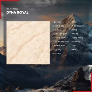 Gạch 100x100 Ấn Độ Novocera mã DYNA ROYANH Men Bóng