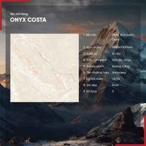 Gạch 100x100 Ấn Độ Novocera mã ONYX COSTA Men Matt Babysatin