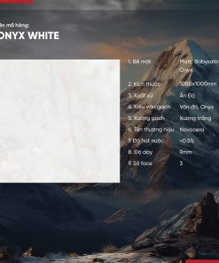 Gạch 100x100 Ấn Độ Novocera mã ONYX WHITE Men Matt Babysatin