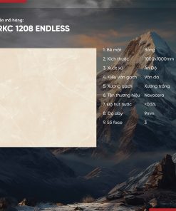 Gạch 100x100 Ấn Độ Novocera mã RKC 1208 ENDLESS Men Bóng