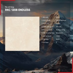 Gạch 100x100 Ấn Độ Novocera mã RKC 1208 ENDLESS Men Bóng