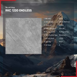 Gạch 100x100 Ấn Độ Novocera mã RKC 1220 ENDLESS Men Bóng