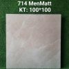 Gạch 100x100 Ấn Độ mã 714 Men Matt