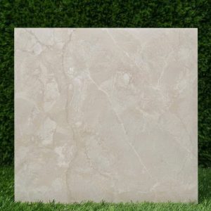 Gạch 100x100 Mocharock mã MC1012