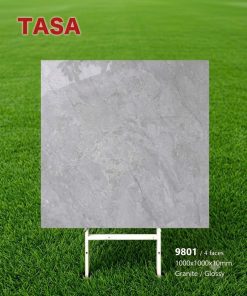 Gạch 100x100 Tasa 9801 men bóng