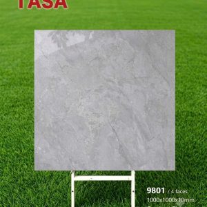 Gạch 100x100 Tasa 9801 men bóng