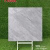 Gạch 100x100 Tasa 9802 men bóng