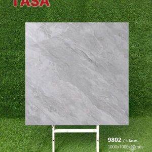 Gạch 100x100 Tasa 9802 men bóng