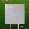 Gạch 100x100 Tasa 9803 men bóng