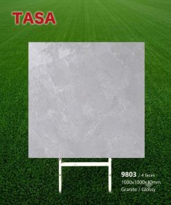 Gạch 100x100 Tasa 9803 men bóng