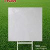 Gạch 100x100 Tasa 9804 men bóng
