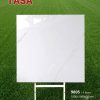 Gạch 100x100 Tasa 9805 men bóng